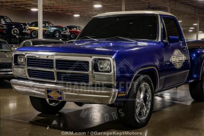 1978 Dodge D150