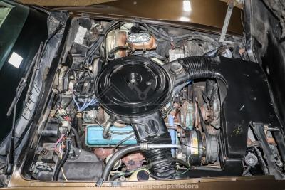 1979 Chevrolet Corvette