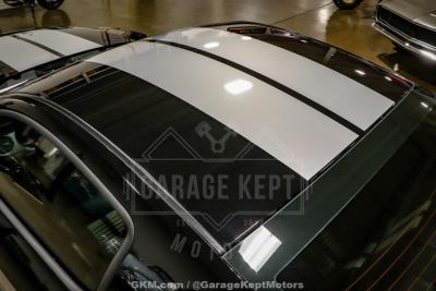 2010 Ford Shelby GT500