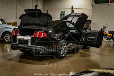 2010 Ford Shelby GT500