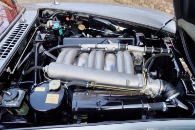 1955 Mercedes - Benz Mercedes Benz 300 SL Gullwing