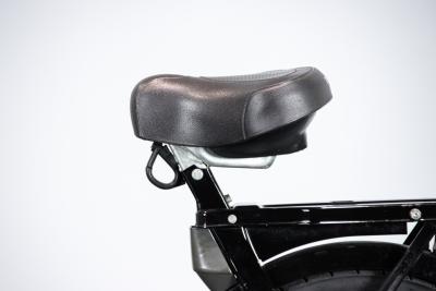 2002 Piaggio CIAO PX CATALYZED