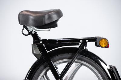 2002 Piaggio CIAO PX CATALYZED