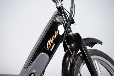 2002 Piaggio CIAO PX CATALYZED