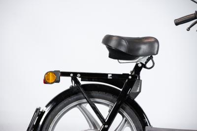 2002 Piaggio CIAO PX CATALYZED