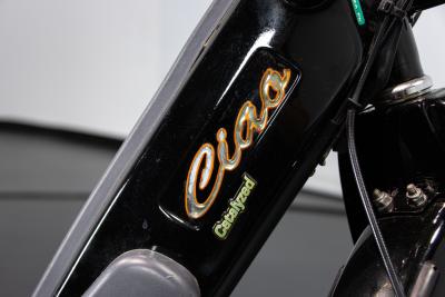 2002 Piaggio CIAO PX CATALYZED