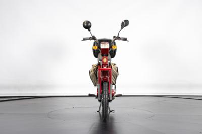 2011 Atala ATALA GREEN&nbsp;LF 2M