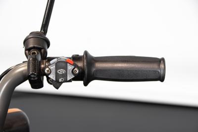 2011 Atala ATALA GREEN&nbsp;LF 2M