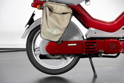 2011 Atala ATALA GREEN&nbsp;LF 2M