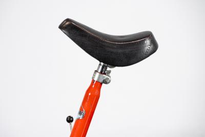 1979 Pram PRAM CICLOMOTORE PIEGHEVOLE