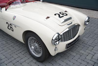 1958 Austin - Healey 100-6 M BN6
