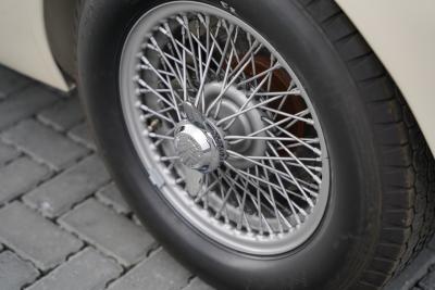 1958 Austin - Healey 100-6 M BN6