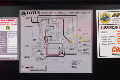 1993 Lotus ESPRIT TURBO SE