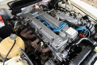 1976 Mercedes - Benz Mercedes Benz 280 SL &ldquo;First lacquer&rdquo;