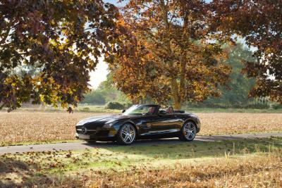 2012 Mercedes - Benz SLS AMG Roadster