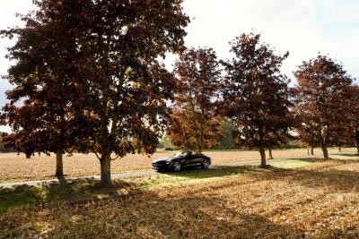 2012 Mercedes - Benz SLS AMG Roadster