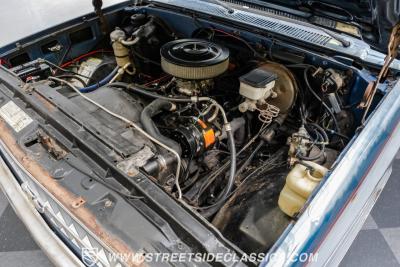 1981 Chevrolet C10 Silverado