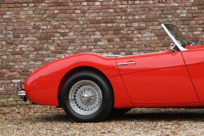 1959 Austin - Healey 100/6 &ldquo;A fast tour-special&rdquo;