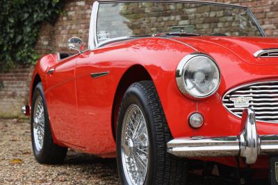 1959 Austin - Healey 100/6 &ldquo;A fast tour-special&rdquo;