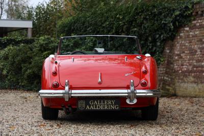 1959 Austin - Healey 100/6 &ldquo;A fast tour-special&rdquo;