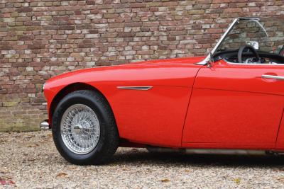 1959 Austin - Healey 100/6 &ldquo;A fast tour-special&rdquo;