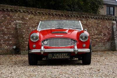 1959 Austin - Healey 100/6 &ldquo;A fast tour-special&rdquo;