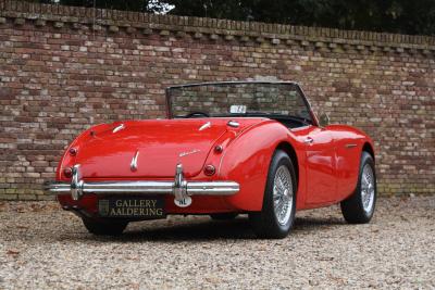 1959 Austin - Healey 100/6 &ldquo;A fast tour-special&rdquo;