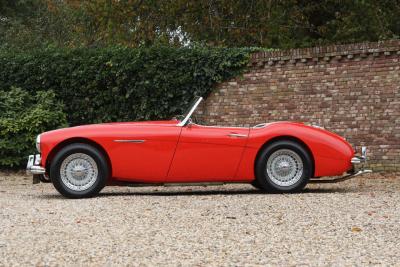 1959 Austin - Healey 100/6 &ldquo;A fast tour-special&rdquo;