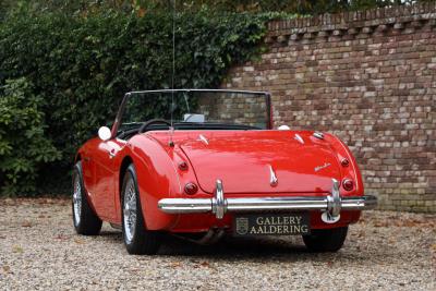 1959 Austin - Healey 100/6 &ldquo;A fast tour-special&rdquo;