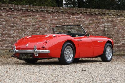 1959 Austin - Healey 100/6 &ldquo;A fast tour-special&rdquo;