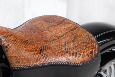 2006 Harley Davidson Sportster XL 1200 Custom