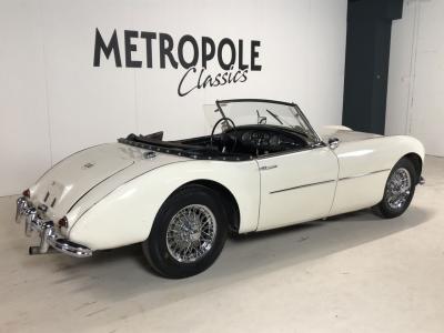 1954 Swallow Doretti