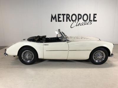 1954 Swallow Doretti