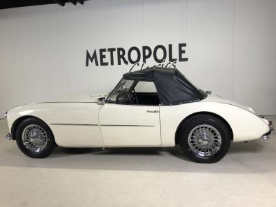 1954 Swallow Doretti