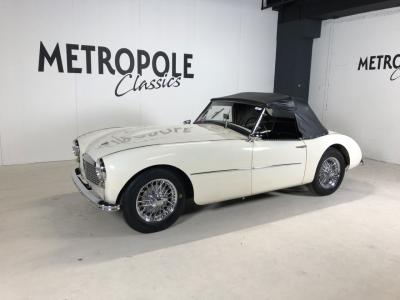 1954 Swallow Doretti