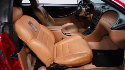 1994 Ford Mustang Cobra Pace Car Convertible Tribute