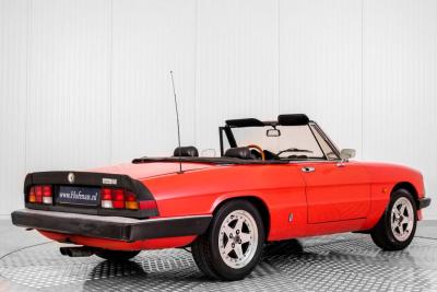 1985 Alfa Romeo Spider