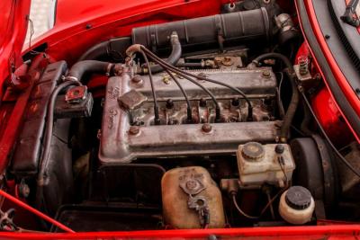 1985 Alfa Romeo Spider