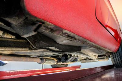 1985 Alfa Romeo Spider