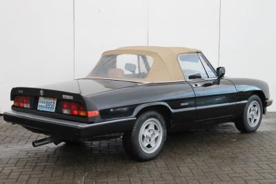1987 Alfa Romeo Spider