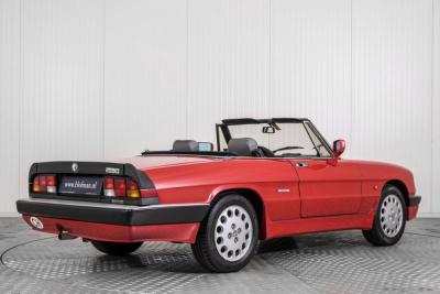 1988 Alfa Romeo Spider