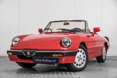 1988 Alfa Romeo Spider