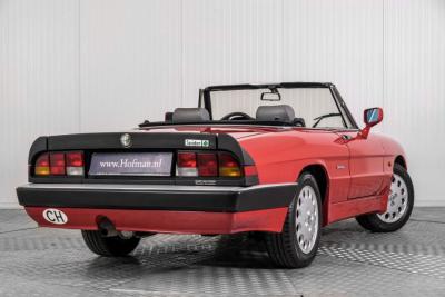 1988 Alfa Romeo Spider