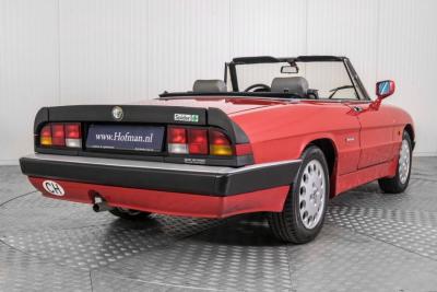 1988 Alfa Romeo Spider