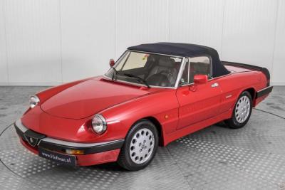 1988 Alfa Romeo Spider
