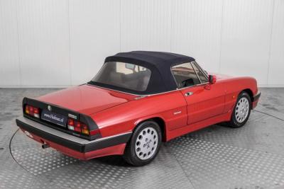 1988 Alfa Romeo Spider