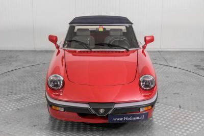 1988 Alfa Romeo Spider