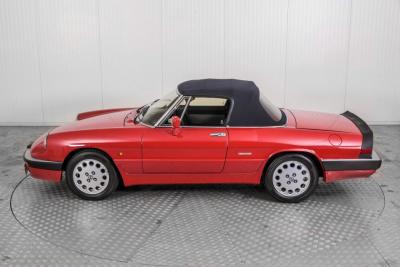 1988 Alfa Romeo Spider