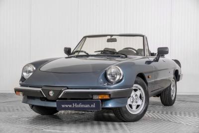 1989 Alfa Romeo Spider