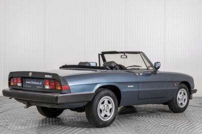 1989 Alfa Romeo Spider